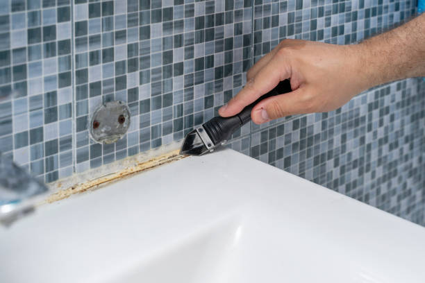  West Leechburg, PA Mold Removal Pros